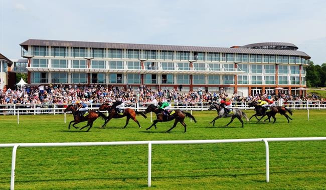 Lingfield Park Racecourse — one of four ARC Racing venues using the Fimap V1